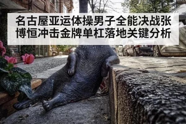 名古屋亚运体操男子全能决战张博恒冲击金牌单杠落地关键分析